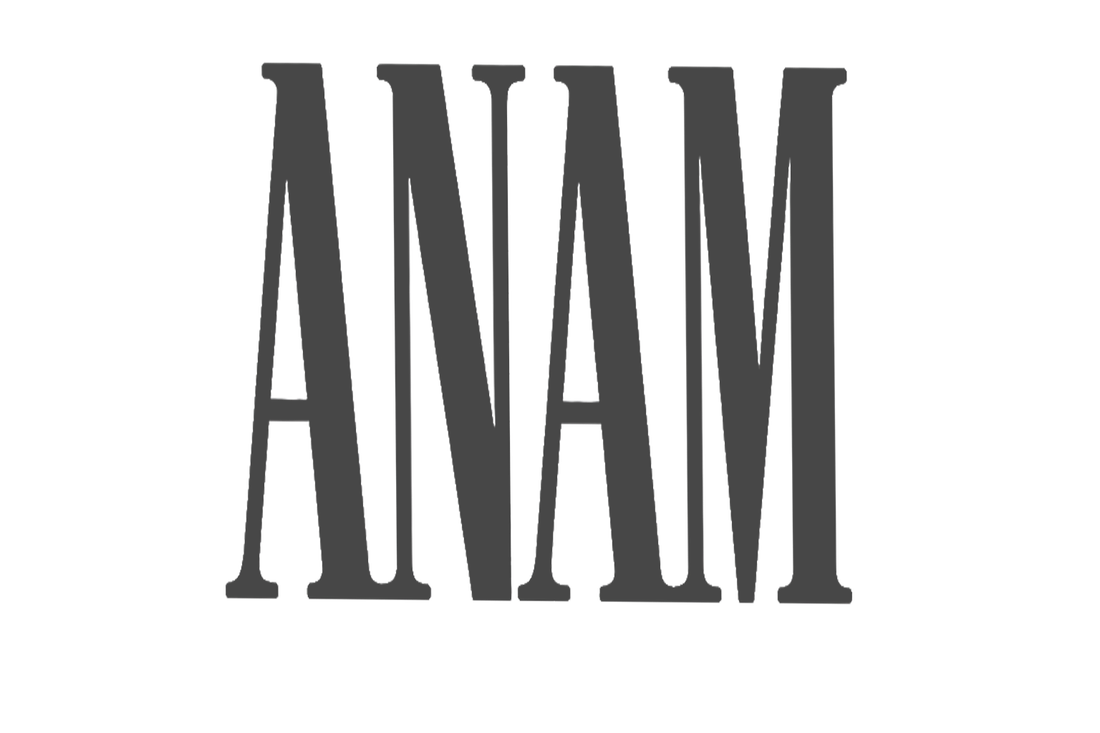 Serif type study