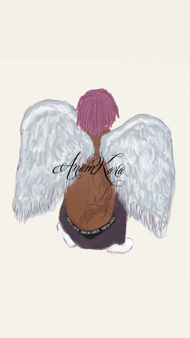 Wings sketch